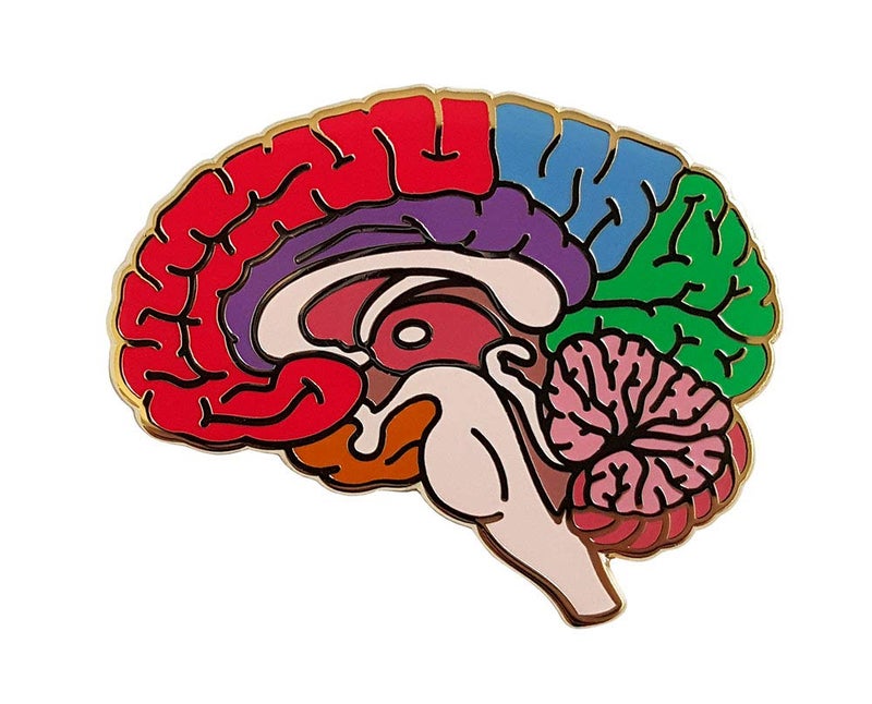 Pinsanity Anatomical Structure of Brain Enamel Lapel Pin - Image 1